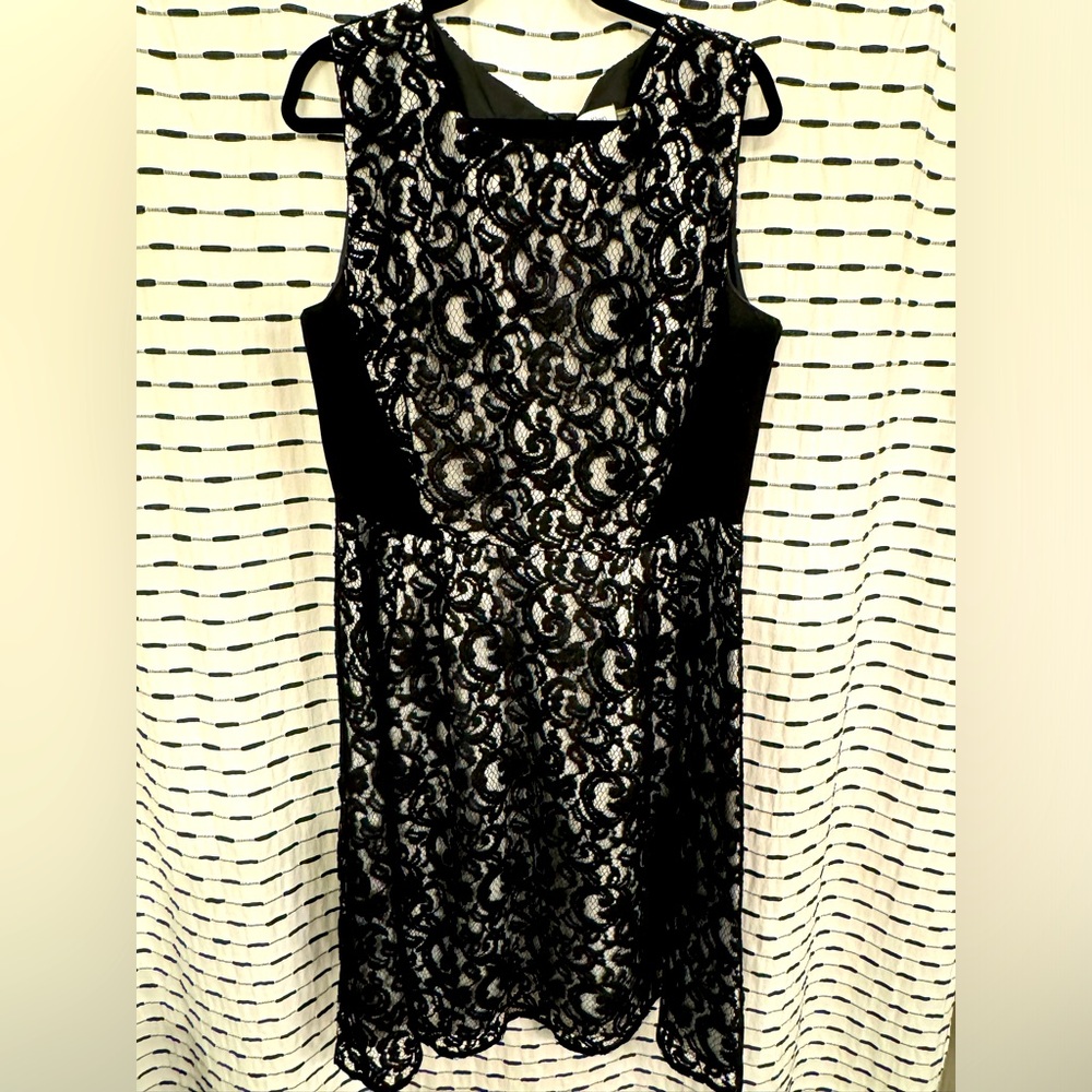 Stunning Calvin Klein Lace Overlay Dress! Size 16W